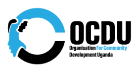 Fremir Youth Initiative logo